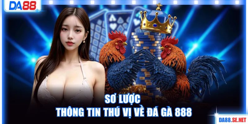 Sơ lược thông tin thú vị về đá gà 888